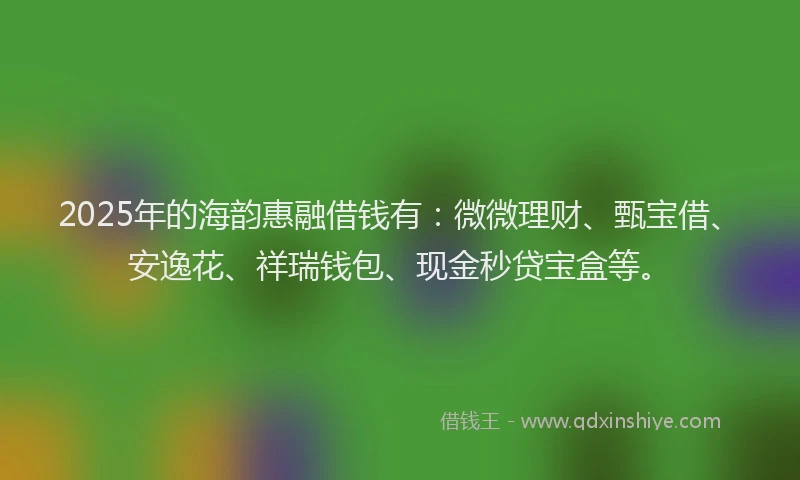 2025年的海韵惠融借钱有：微微理财、甄宝借、安逸花、祥瑞钱包、现金秒贷宝盒等。