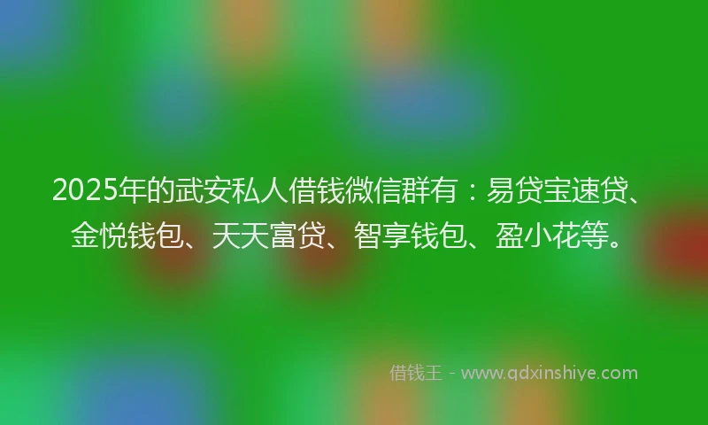 2025年的武安私人借钱微信群有：易贷宝速贷、金悦钱包、天天富贷、智享钱包、盈小花等。