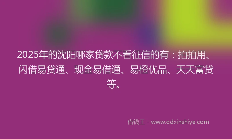 2025年的沈阳哪家贷款不看征信的有：拍拍用、闪借易贷通、现金易借通、易橙优品、天天富贷等。