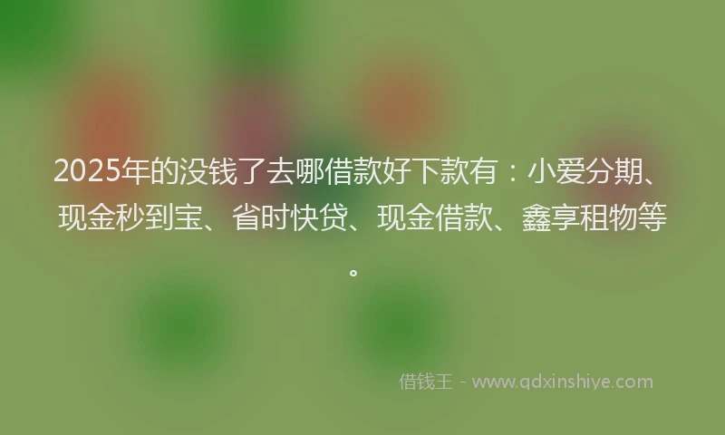 2025年的没钱了去哪借款好下款有：小爱分期、现金秒到宝、省时快贷、现金借款、鑫享租物等。