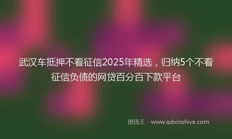 武汉车抵押不看征信2025年精选，归纳5个不看征信负债的网贷百分百下款平台