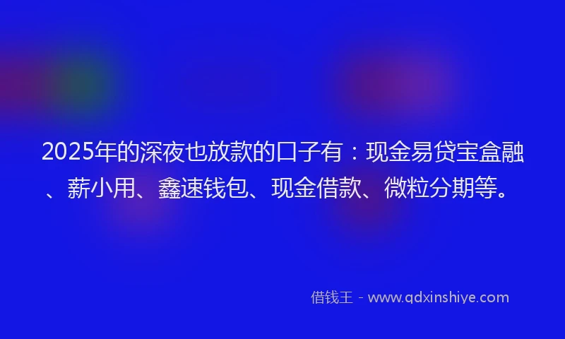 2025年的深夜也放款的口子有：现金易贷宝盒融、薪小用、鑫速钱包、现金借款、微粒分期等。