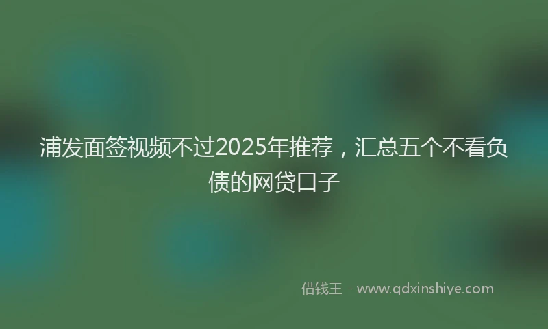 浦发面签视频不过2025年推荐，汇总五个不看负债的网贷口子