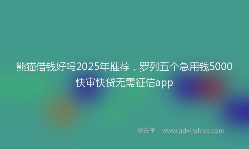 熊猫借钱好吗2025年推荐，罗列五个急用钱5000快审快贷无需征信app