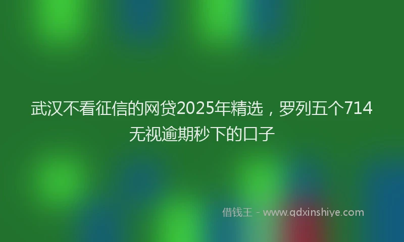 武汉不看征信的网贷2025年精选，罗列五个714无视逾期秒下的口子