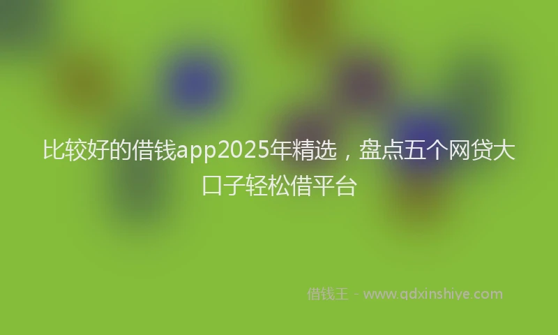 比较好的借钱app2025年精选，盘点五个网贷大口子轻松借平台