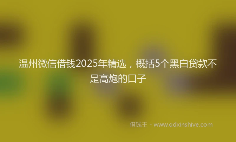 温州微信借钱2025年精选，概括5个黑白贷款不是高炮的口子