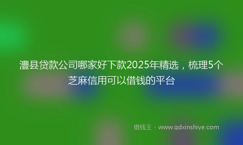澧县贷款公司哪家好下款2025年精选，梳理5个芝麻信用可以借钱的平台