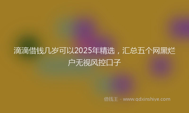 滴滴借钱几岁可以2025年精选，汇总五个网黑烂户无视风控口子