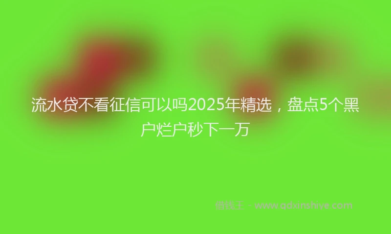 流水贷不看征信可以吗2025年精选，盘点5个黑户烂户秒下一万