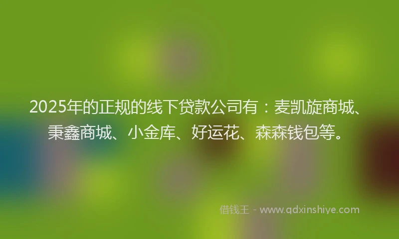 2025年的正规的线下贷款公司有：麦凯旋商城、秉鑫商城、小金库、好运花、森森钱包等。