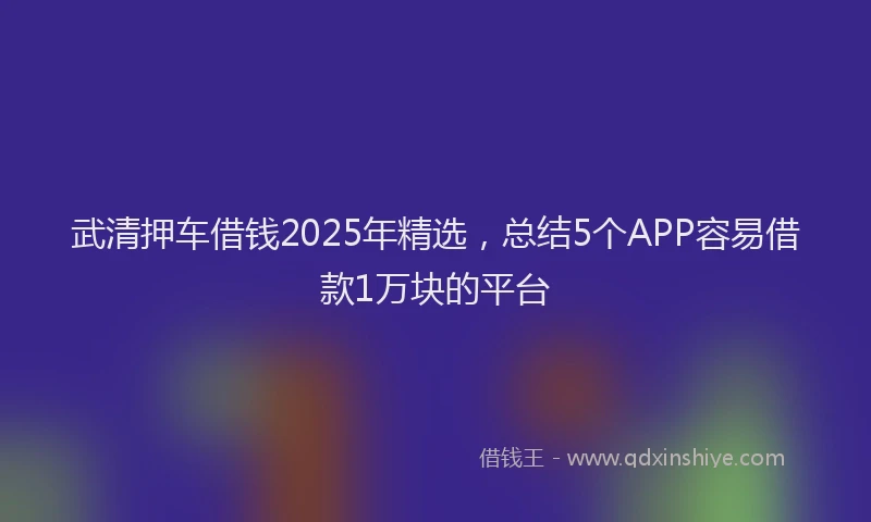 武清押车借钱2025年精选，总结5个APP容易借款1万块的平台