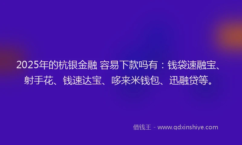 2025年的杭银金融 容易下款吗有：钱袋速融宝、射手花、钱速达宝、哆来米钱包、迅融贷等。