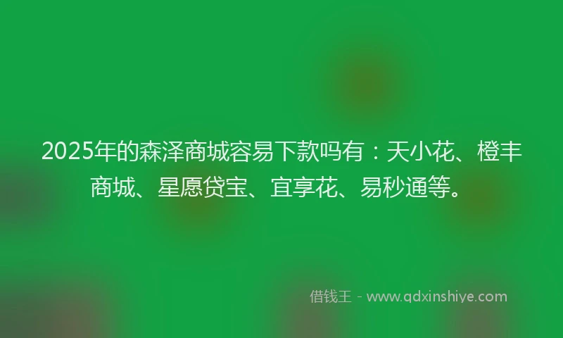 2025年的森泽商城容易下款吗有：天小花、橙丰商城、星愿贷宝、宜享花、易秒通等。