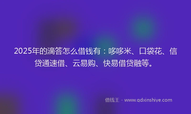 2025年的滴答怎么借钱有：哆哆米、口袋花、信贷通速借、云易购、快易借贷融等。