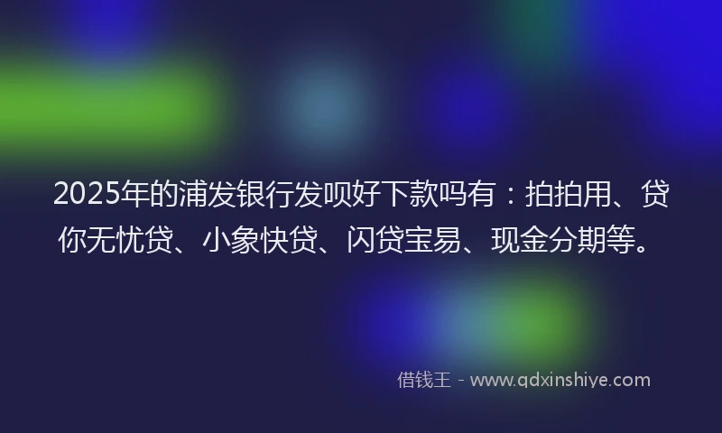 2025年的浦发银行发呗好下款吗有：拍拍用、贷你无忧贷、小象快贷、闪贷宝易、现金分期等。