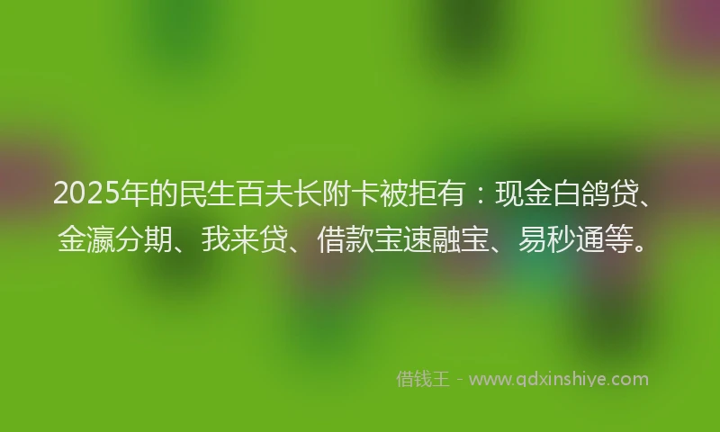 2025年的民生百夫长附卡被拒有：现金白鸽贷、金瀛分期、我来贷、借款宝速融宝、易秒通等。