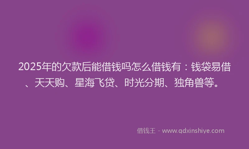 2025年的欠款后能借钱吗怎么借钱有：钱袋易借、天天购、星海飞贷、时光分期、独角兽等。