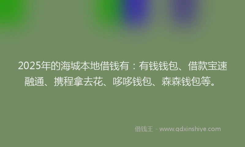 2025年的海城本地借钱有：有钱钱包、借款宝速融通、携程拿去花、哆哆钱包、森森钱包等。