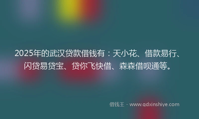 2025年的武汉贷款借钱有：天小花、借款易行、闪贷易贷宝、贷你飞快借、森森借呗通等。