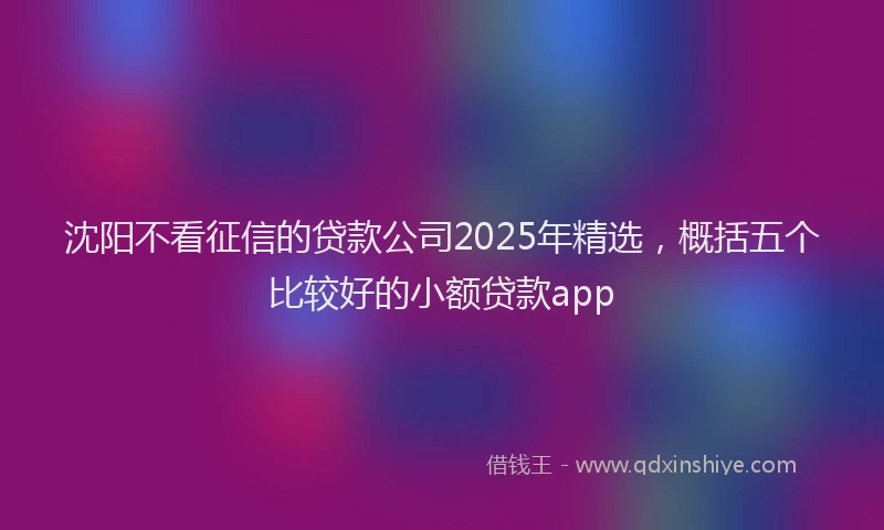 沈阳不看征信的贷款公司2025年精选，概括五个比较好的小额贷款app