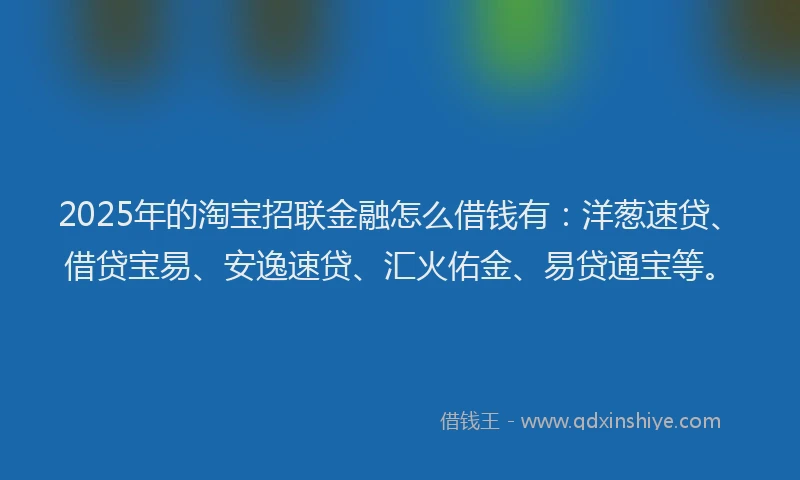 2025年的淘宝招联金融怎么借钱有：洋葱速贷、借贷宝易、安逸速贷、汇火佑金、易贷通宝等。