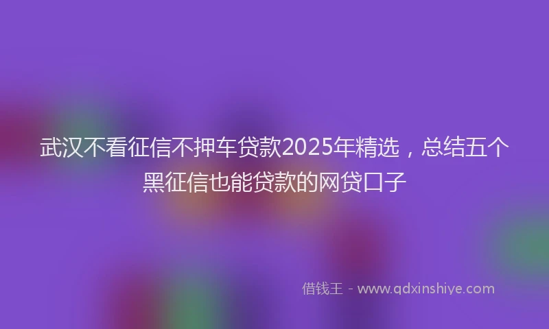 武汉不看征信不押车贷款2025年精选，总结五个黑征信也能贷款的网贷口子
