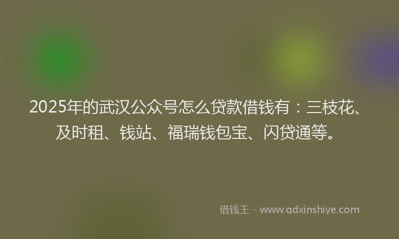 2025年的武汉公众号怎么贷款借钱有:三枝花、及时租、钱站、福瑞钱包宝、闪贷通等。
