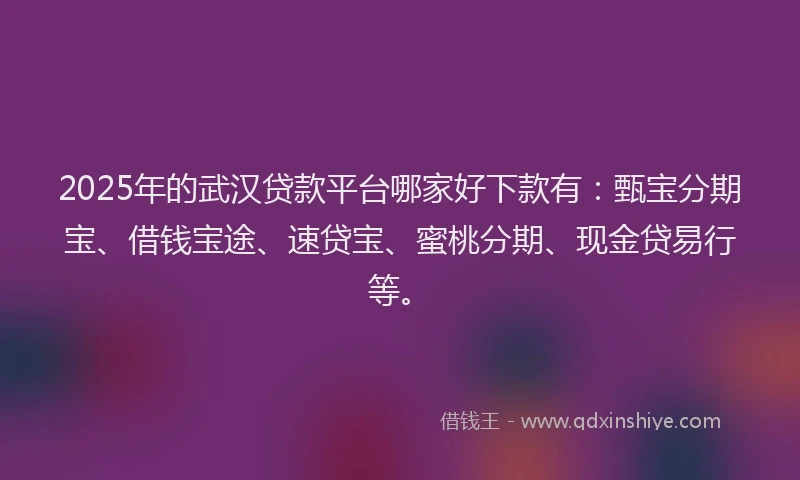 2025年的武汉贷款平台哪家好下款有：甄宝分期宝、借钱宝途、速贷宝、蜜桃分期、现金贷易行等。