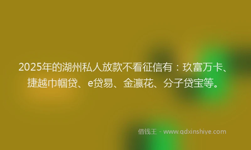 2025年的湖州私人放款不看征信有：玖富万卡、捷越巾帼贷、e贷易、金瀛花、分子贷宝等。