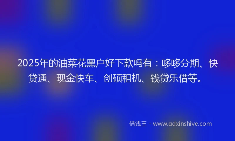 2025年的油菜花黑户好下款吗有：哆哆分期、快贷通、现金快车、创硕租机、钱贷乐借等。