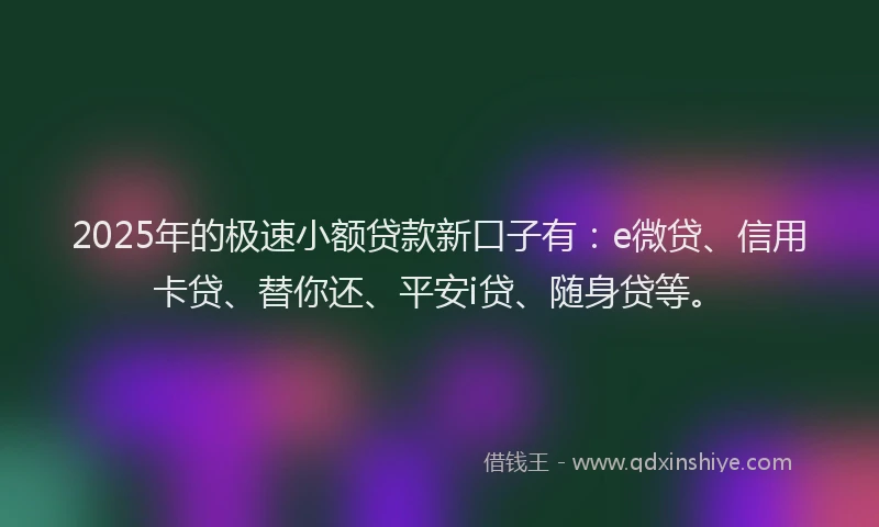 2025年的极速小额贷款新口子有：e微贷、信用卡贷、替你还、平安i贷、随身贷等。