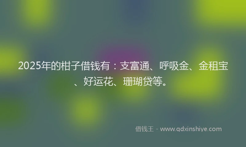 2025年的柑子借钱有：支富通、呼吸金、金租宝、好运花、珊瑚贷等。