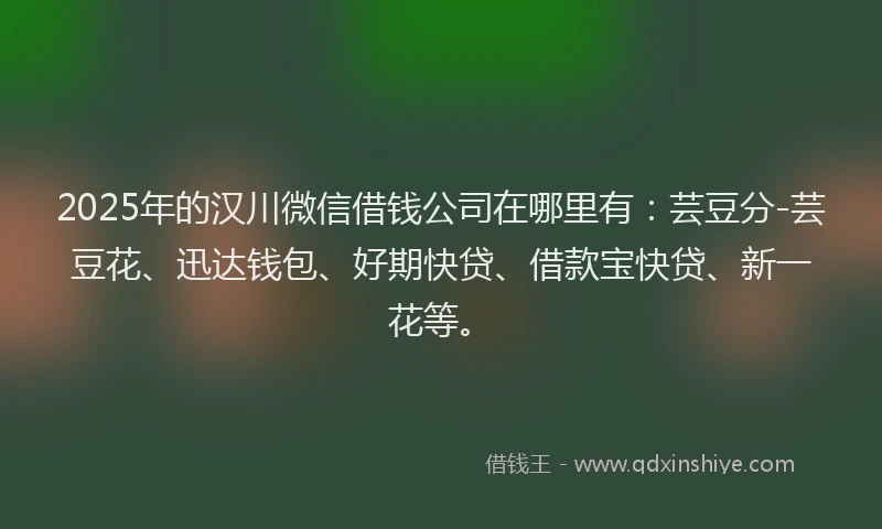 2025年的汉川微信借钱公司在哪里有：芸豆分-芸豆花、迅达钱包、好期快贷、借款宝快贷、新一花等。