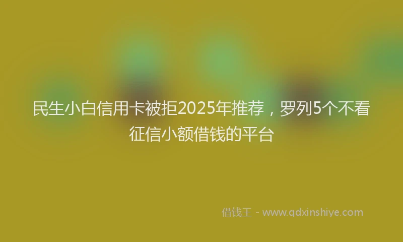 民生小白信用卡被拒2025年推荐，罗列5个不看征信小额借钱的平台