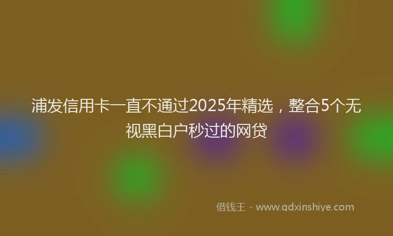 浦发信用卡一直不通过2025年精选，整合5个无视黑白户秒过的网贷