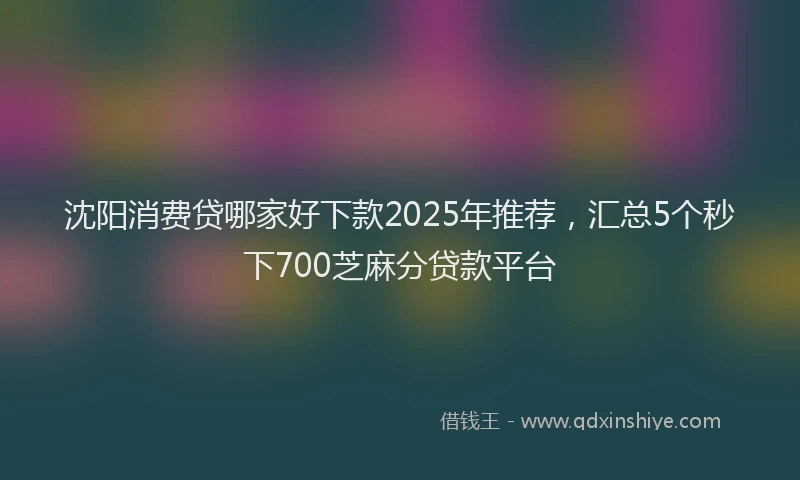 沈阳消费贷哪家好下款2025年推荐，汇总5个秒下700芝麻分贷款平台