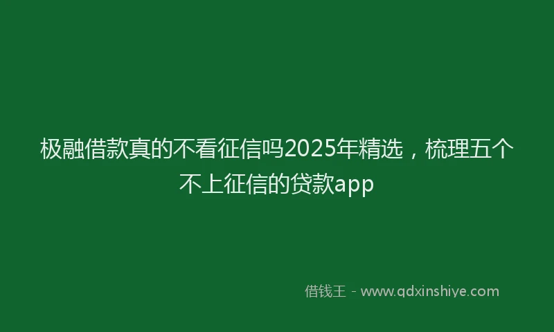 极融借款真的不看征信吗2025年精选，梳理五个不上征信的贷款app