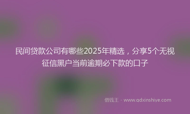 民间贷款公司有哪些2025年精选，分享5个无视征信黑户当前逾期必下款的口子