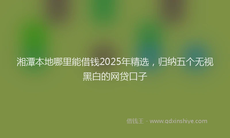 湘潭本地哪里能借钱2025年精选，归纳五个无视黑白的网贷口子