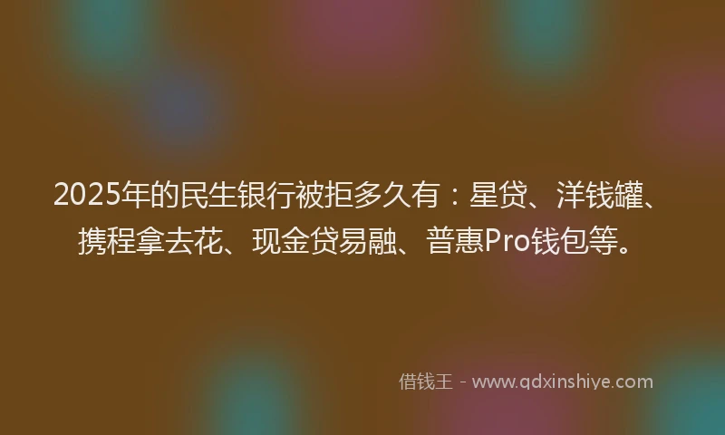 2025年的民生银行被拒多久有：星贷、洋钱罐、携程拿去花、现金贷易融、普惠Pro钱包等。