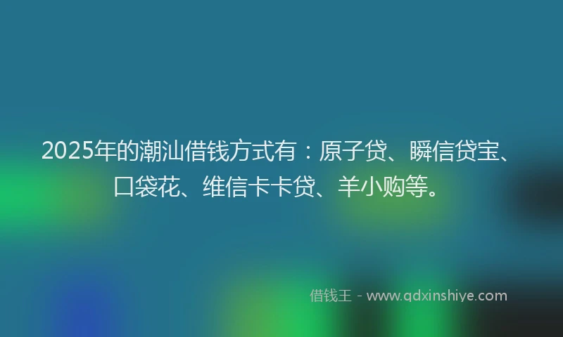 2025年的潮汕借钱方式有：原子贷、瞬信贷宝、口袋花、维信卡卡贷、羊小购等。