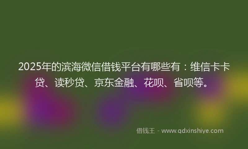 2025年的滨海微信借钱平台有哪些有：维信卡卡贷、读秒贷、京东金融、花呗、省呗等。