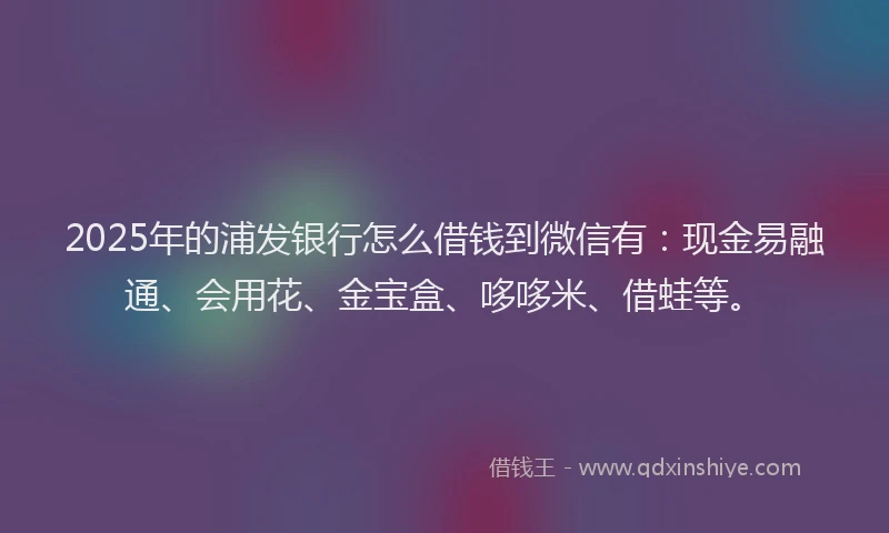 2025年的浦发银行怎么借钱到微信有：现金易融通、会用花、金宝盒、哆哆米、借蛙等。