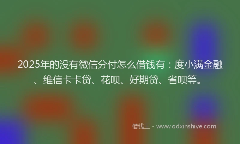 2025年的没有微信分付怎么借钱有：度小满金融、维信卡卡贷、花呗、好期贷、省呗等。