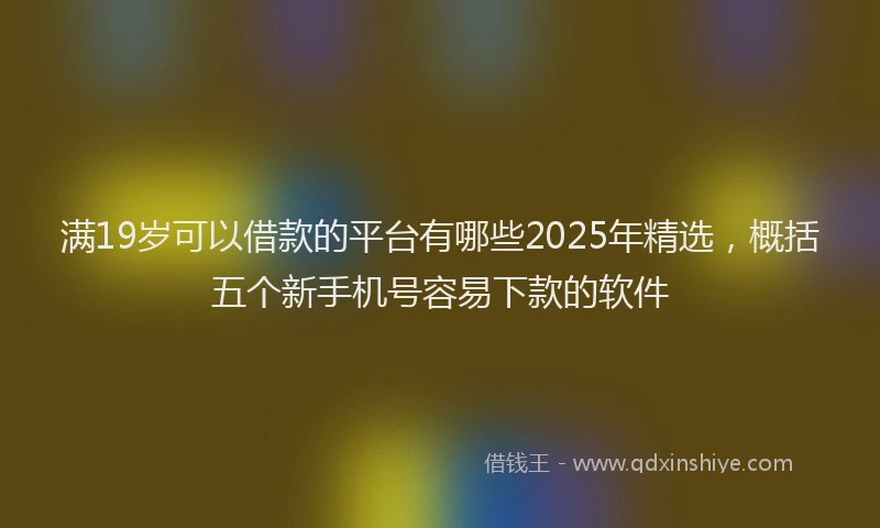 满19岁可以借款的平台有哪些2025年精选，概括五个新手机号容易下款的软件