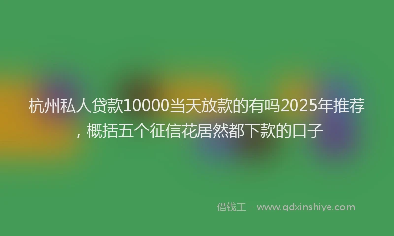 杭州私人贷款10000当天放款的有吗2025年推荐，概括五个征信花居然都下款的口子