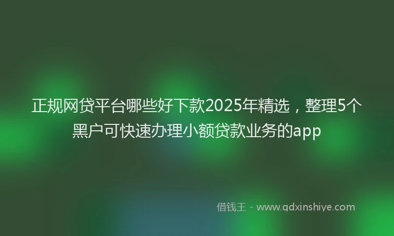 正规网贷平台哪些好下款2025年精选，整理5个黑户可快速办理小额贷款业务的app