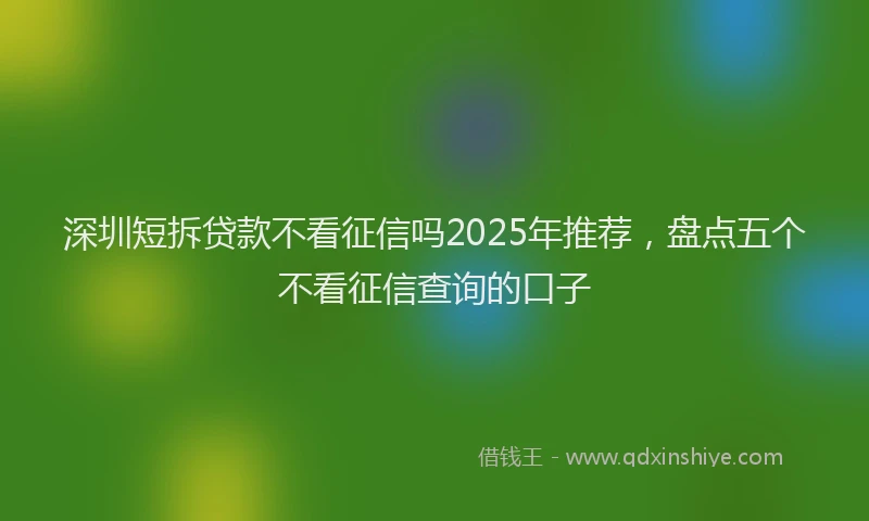 深圳短拆贷款不看征信吗2025年推荐，盘点五个不看征信查询的口子