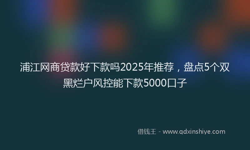 浦江网商贷款好下款吗2025年推荐，盘点5个双黑烂户风控能下款5000口子
